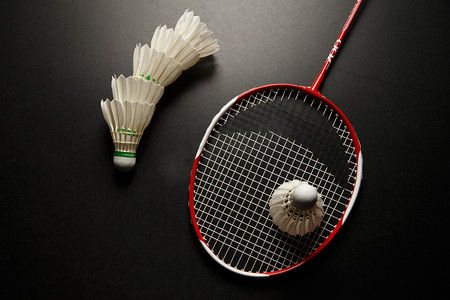 训成果逐渐 训成果逐渐